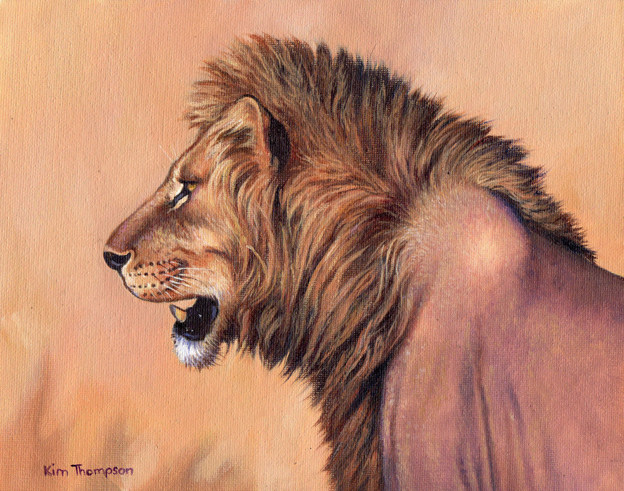 Kim Thompson - Lion King