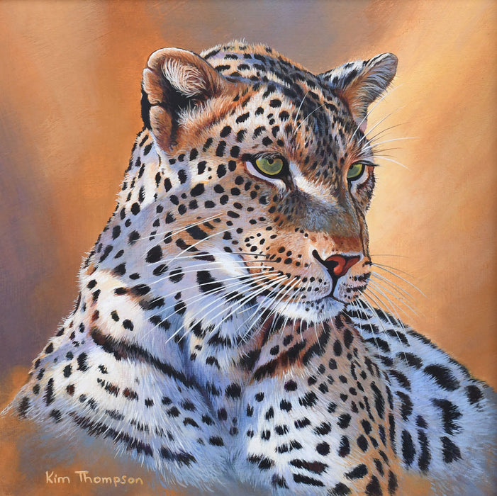 Kim Thompson - African Leopard Special Limited edition print